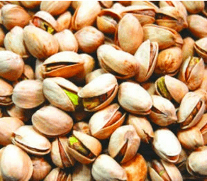 পেস্তা